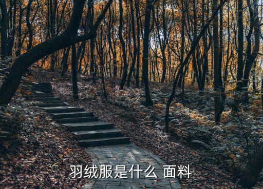 南通帝人面料,南通開發區帝人怎么樣...